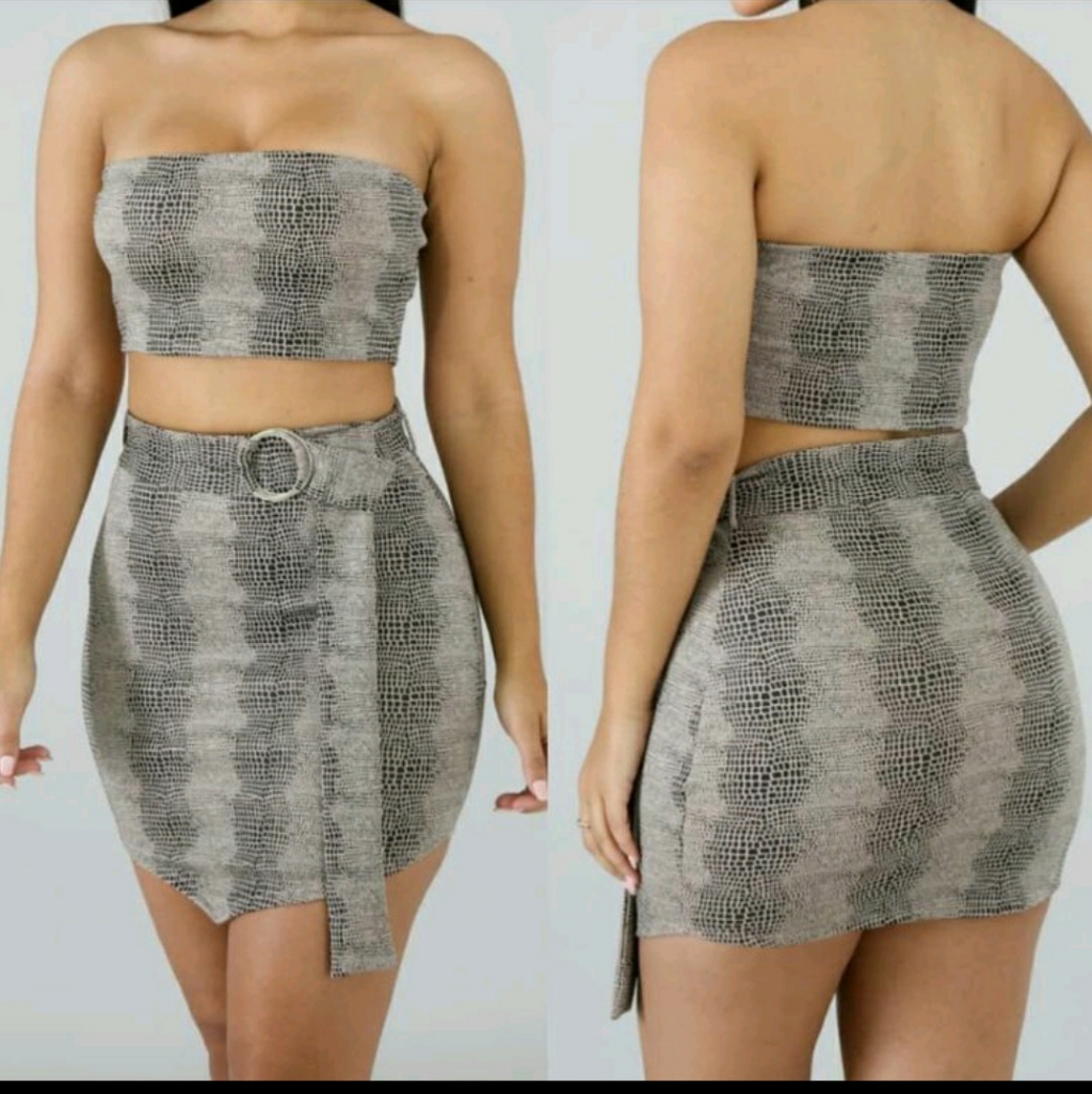 Two Piece Snake Pattern